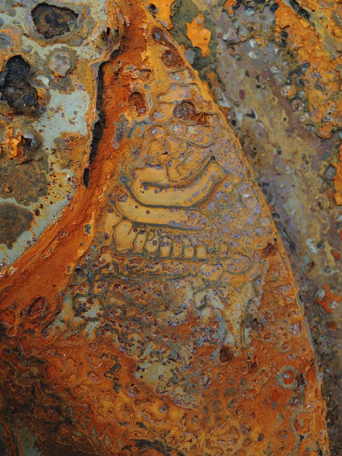 Close-up of a rusted metal surface with intricate patterns and vibrant colors.